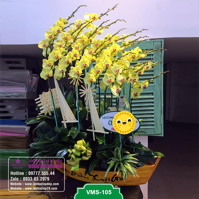 Thuyền hoa lan hồ điệp đẹp với 20 cành hoa lan vàng loại vip nhất