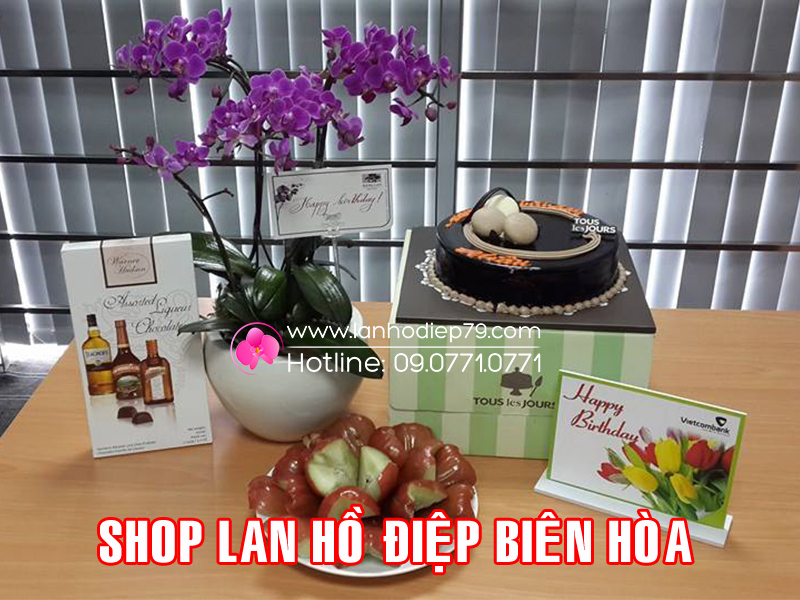 Shop-lan-ho-diep-gia-re-tai-bien-hoa