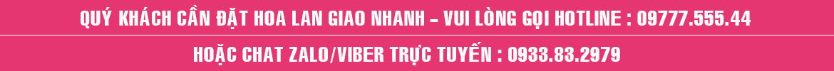Shop-hoa-lan-ho-diep-tai-nha-trang
