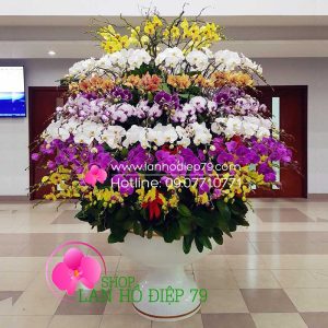 Bình lan hồ điệp đẹp sang trọng gồm 199 cành lan hồ điệp đa sắc