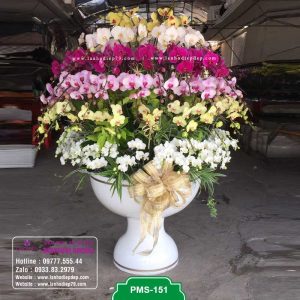 Chậu hoa lan hồ điệp đẹp có thiết kế sang trọng và đẳng cấp